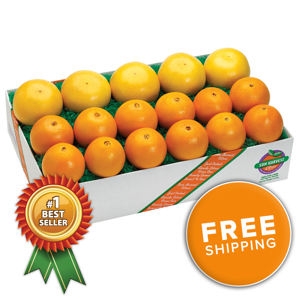 Navel Oranges & Ruby Red Grapefruit
