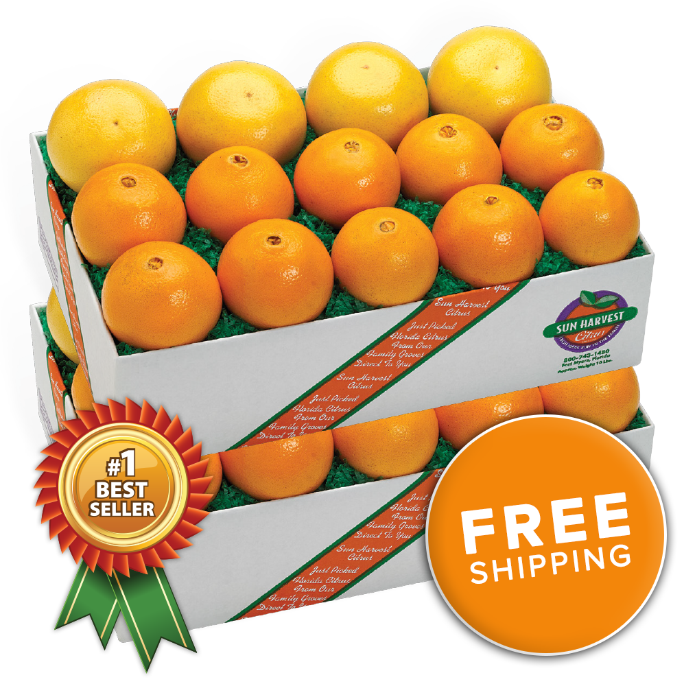 Navel Oranges & Ruby Red Grapefruit