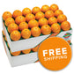 Navel Oranges