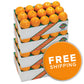 Navel Oranges