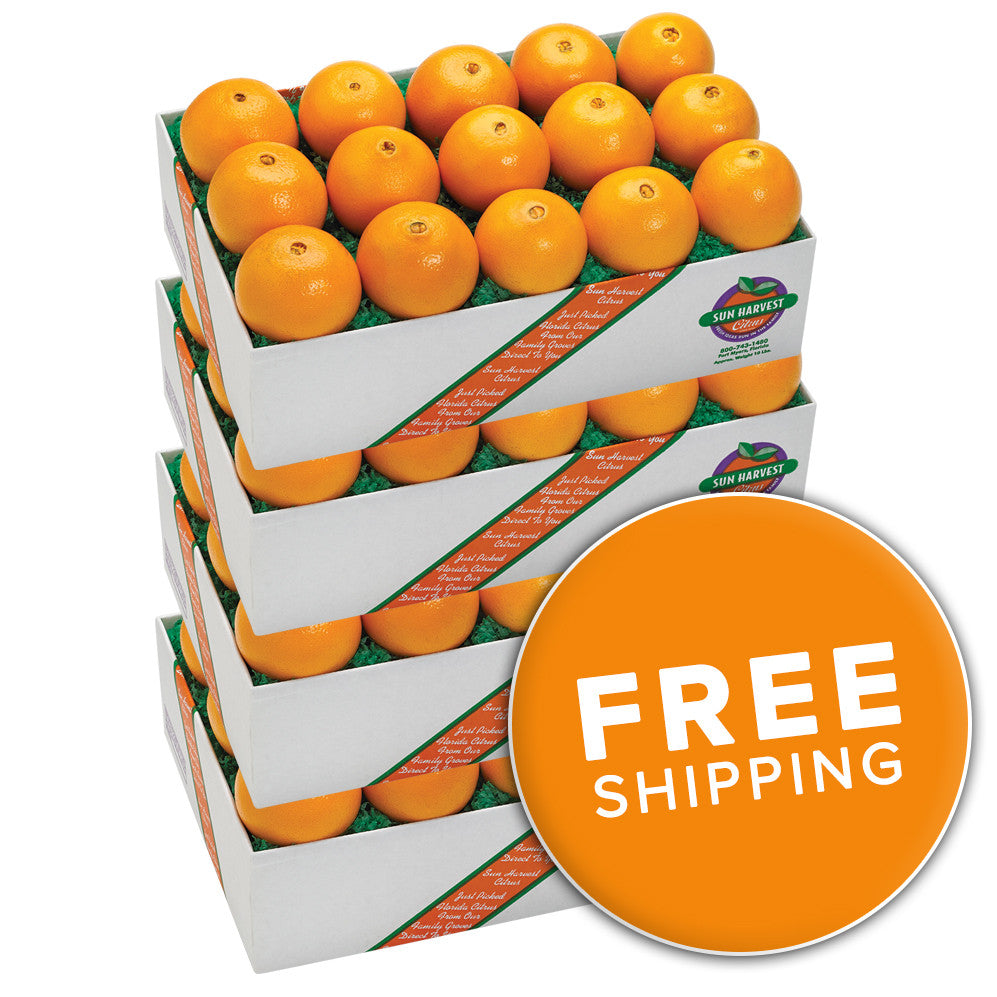 Navel Oranges<br>(Choose a Size)