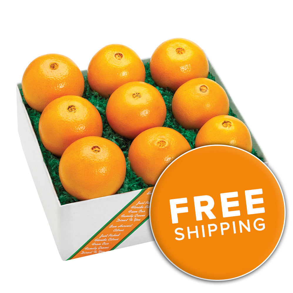 Florida Citrus Navel Oranges