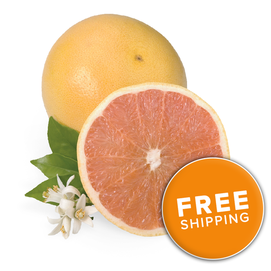 Ruby Red Grapefruit<br>(Choose a Size)